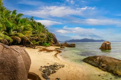 Anse Source D'argent beach with palm trees at La Digue Island, Seychelles Stock Photos