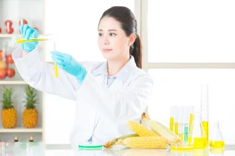 The answer is in this genetic modification corn Photos