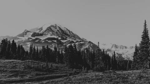 The Answer Fotos de archivo