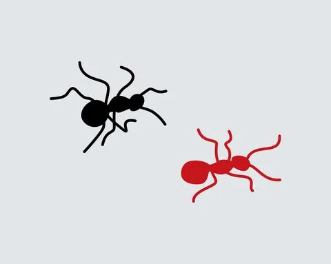 Ant and fly black and red vector design Stock-Illustration