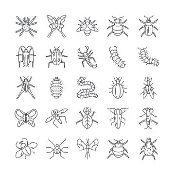 Ant and insect icon set, line detail style Ilustración de archivo