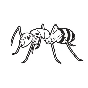 Ant in black outline Stock Illustration