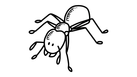 Ant, bug sketch and 2d animation Stock Footage 209313992