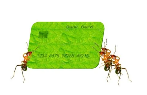 Ant card Stock Illustration
