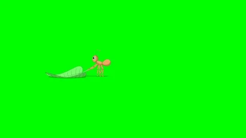 Ant carries a green leaf Stock Footage 115759537