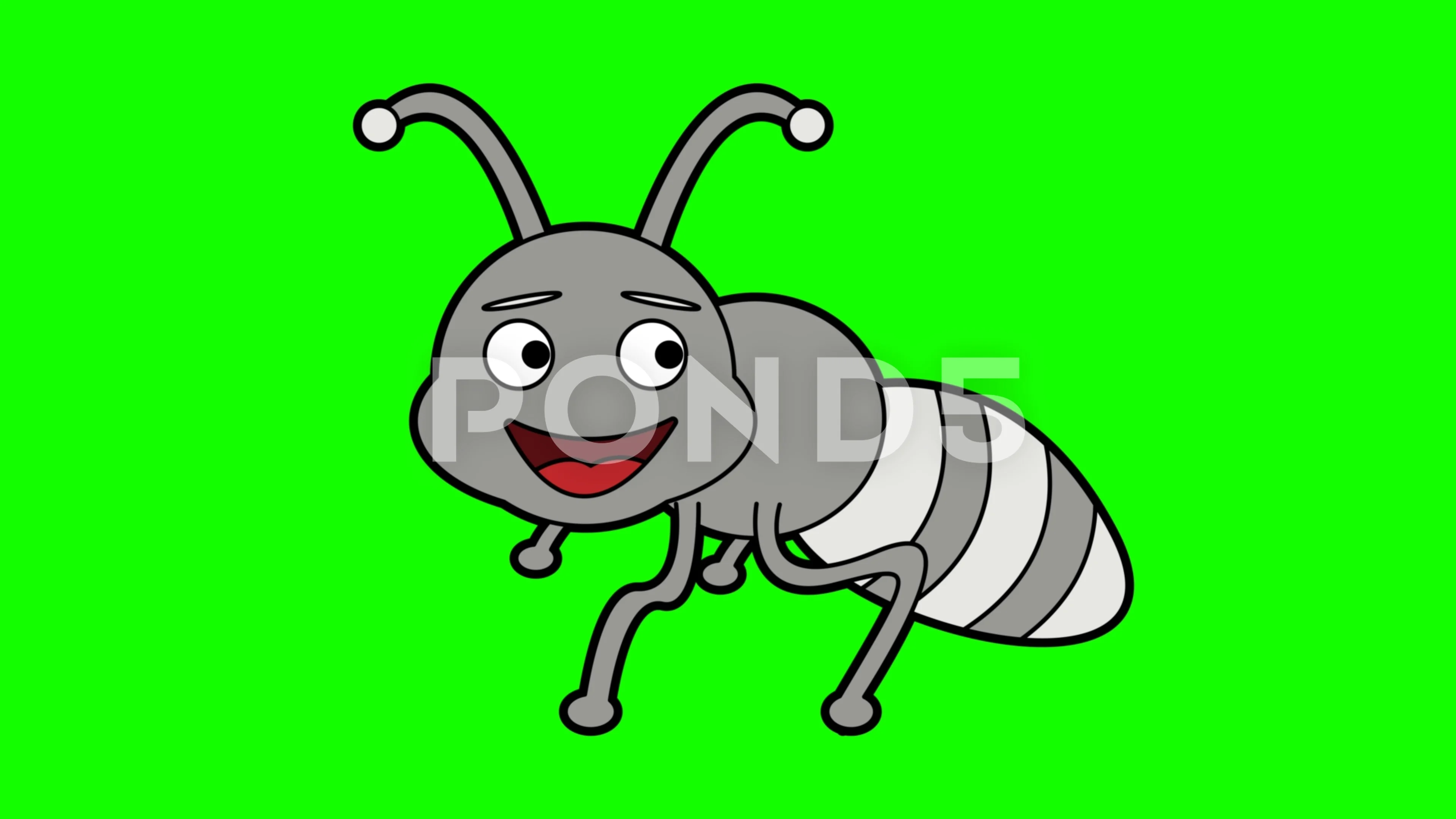 ant character animation green screen. 2D... | Stock Video | Pond5