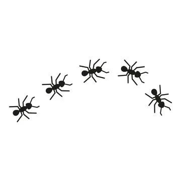 Ant colony marching in line on white background イラスト素材