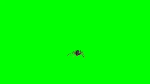 Ant Eating on Green Screen 06 Stock Footage 222865860