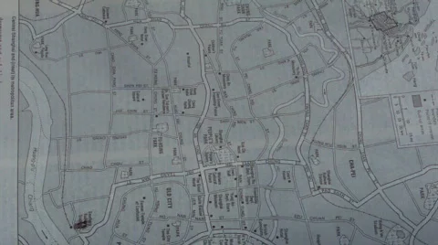 Ant Stock Footage 454570