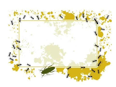 Ant frame Stock Illustration