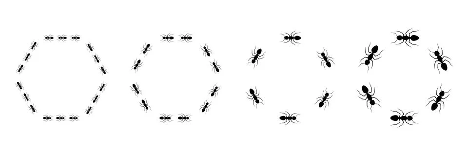 Ant hexagonal frame trail set. Stock Illustration