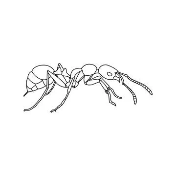 Ant icon Illustration