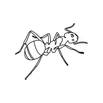 Ant icon Illustration