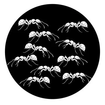 Ant icon Illustration