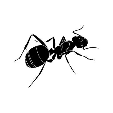 Ant icon Illustration