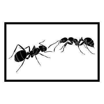Ant icon Illustration