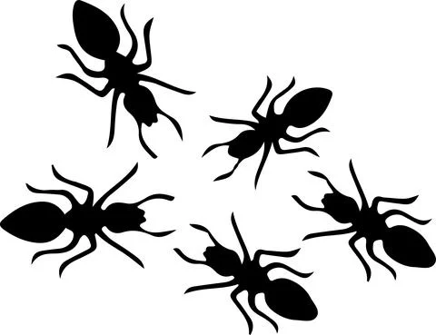 Ant icon isolated on white background Stock Illustration