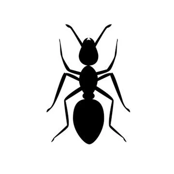 Ant icon on white background. ant animal sign. black ant symbol. Stock Illustration