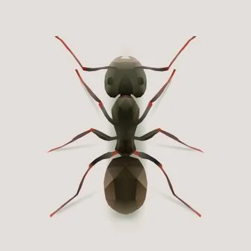 Ant Stock Illustration