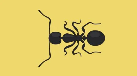 Ant Illustrazione stock