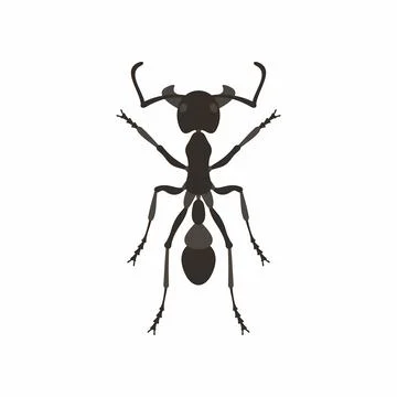Ant Stock Illustration