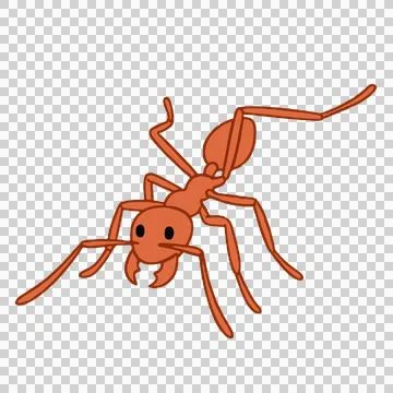 Ant 库存插图