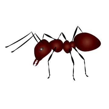 Ant illustration Stock-Illustration