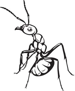 Ant, the image of ants, black and white drawing, silhouette, vector, drawing Stock Illustration