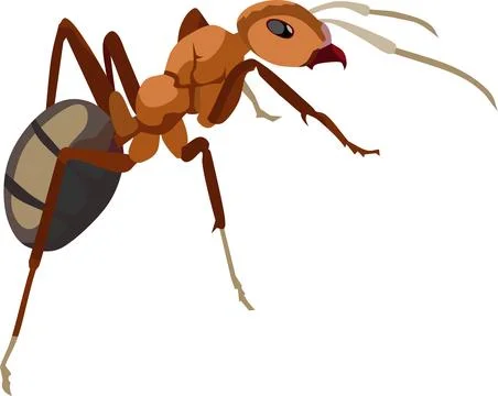 Ant Insect Animal Stock Illustration