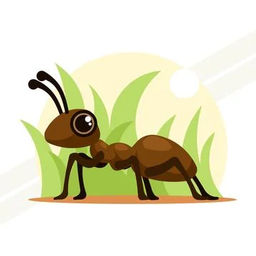 Ant-insect Stock Illustration