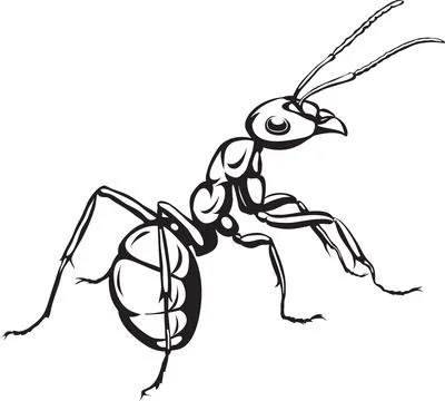 Ant, insect, various poses, movements and angles, black Stock Illustration