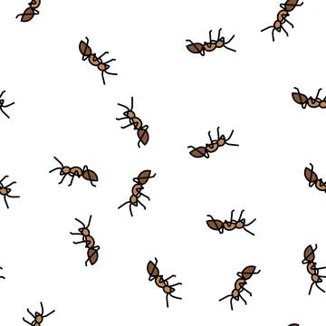 Ant insect vector seamless pattern Stock Illustration