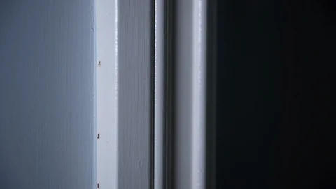 Ant invasion Video stock 114529960