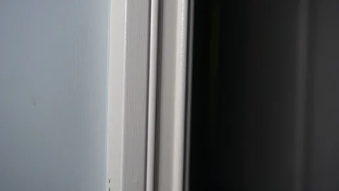 Ant invasion Stock Footage 114540015