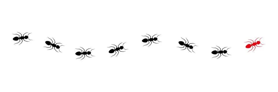 Ant leader trail. Stock Illustration