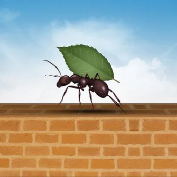 Ant with leaf Stock Illustration