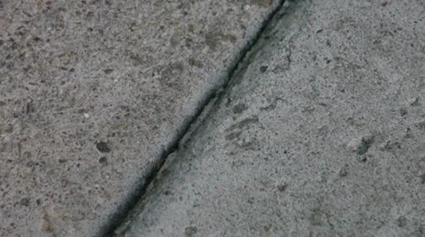 Ant Line Video stock 8571102