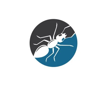 Ant logo icon vector illustration design Illustrazione stock