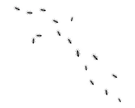 Ant logo icon vector illustration design ant logo icon vector illustration... Stock Photos