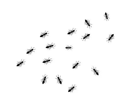 Ant logo icon vector illustration design ant logo icon vector illustration... 库存照片