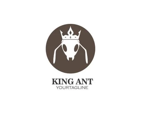 Ant Logo template vector illustration Illustration