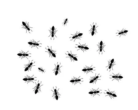 Ant Logo template vector illustration Illustration