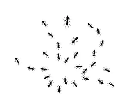 Ant Logo template vector illustration Illustration