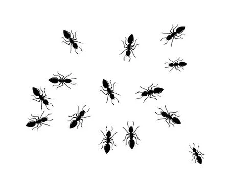 Ant Logo template vector illustration Illustration