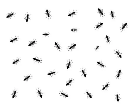 Ant Logo template vector illustration Stock Illustration