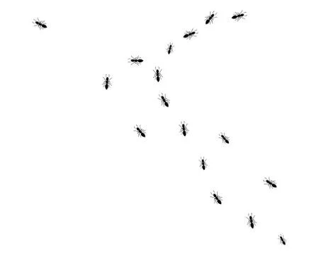 Ant Logo template vector illustration Stock Illustration