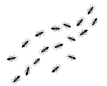 Ant Logo template vector illustration Illustration