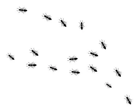 Ant Logo template vector illustration Stock Illustration