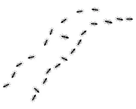 Ant Logo template vector illustration Illustration