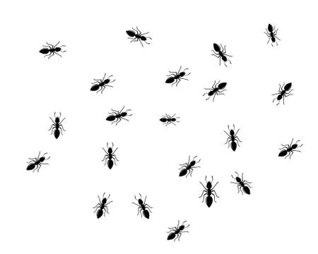 Ant Logo template vector illustration Illustration